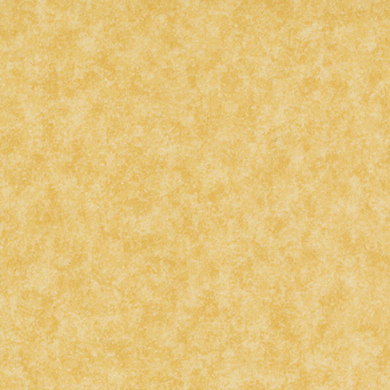 Flexibilní pečlivá heterogenní podlaha