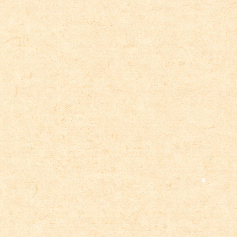 Antibakteriální a antistatická heterogenní podlaha