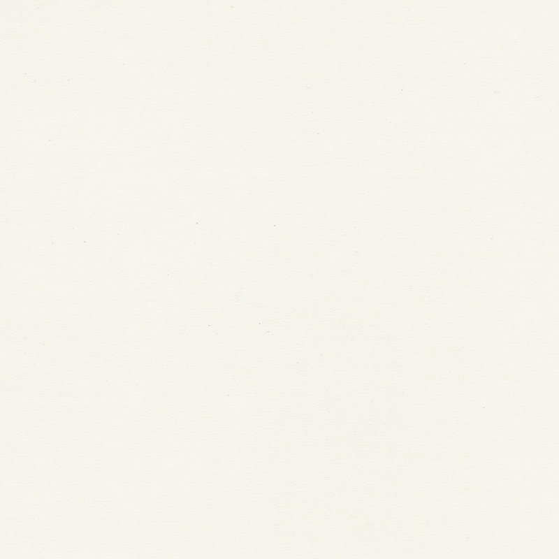 Vysoce kvalitní a jedinečná barevně homogenní podlaha