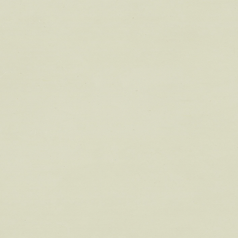 Vysoce kvalitní a jedinečná barevně homogenní podlaha