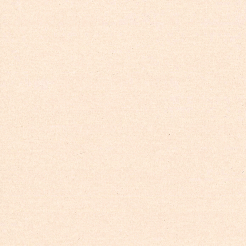 Vysoce kvalitní a jedinečná barevně homogenní podlaha