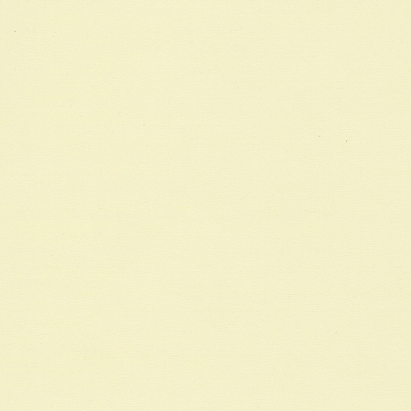 Vysoce kvalitní a jedinečná barevně homogenní podlaha