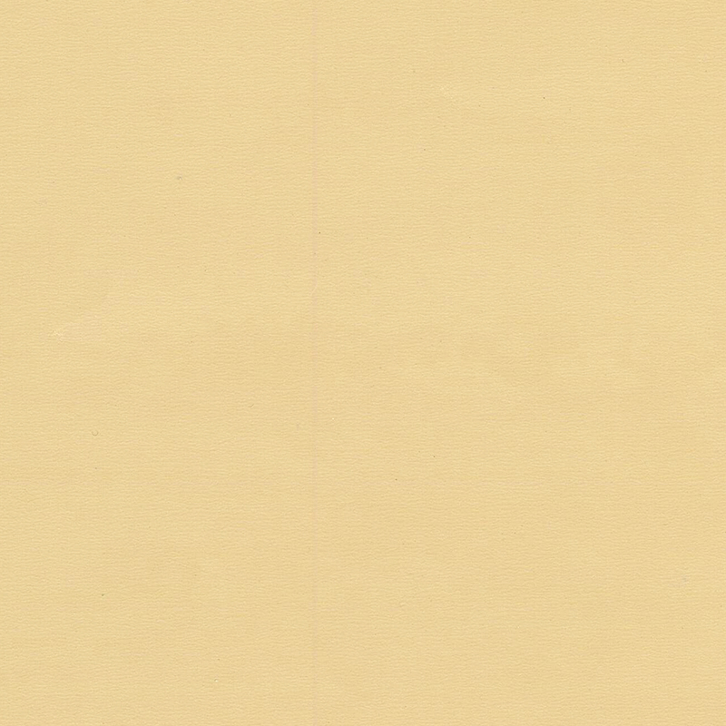 Vysoce kvalitní a jedinečná barevně homogenní podlaha