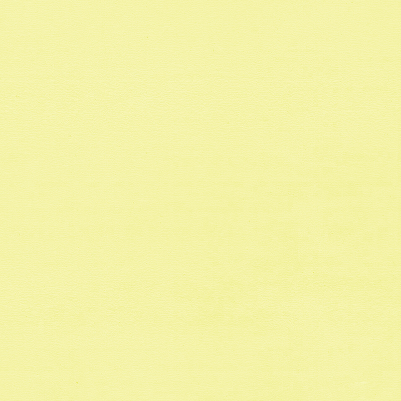 Vysoce kvalitní a jedinečná barevně homogenní podlaha