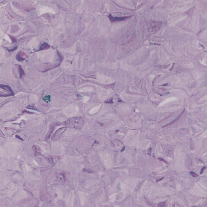 homogenní podlaha perfectbalance