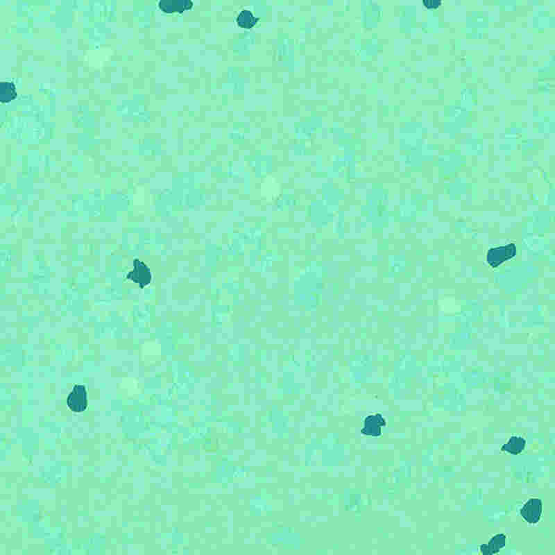 Gumová podlaha odolná proti poškrábání a vysoce elastická