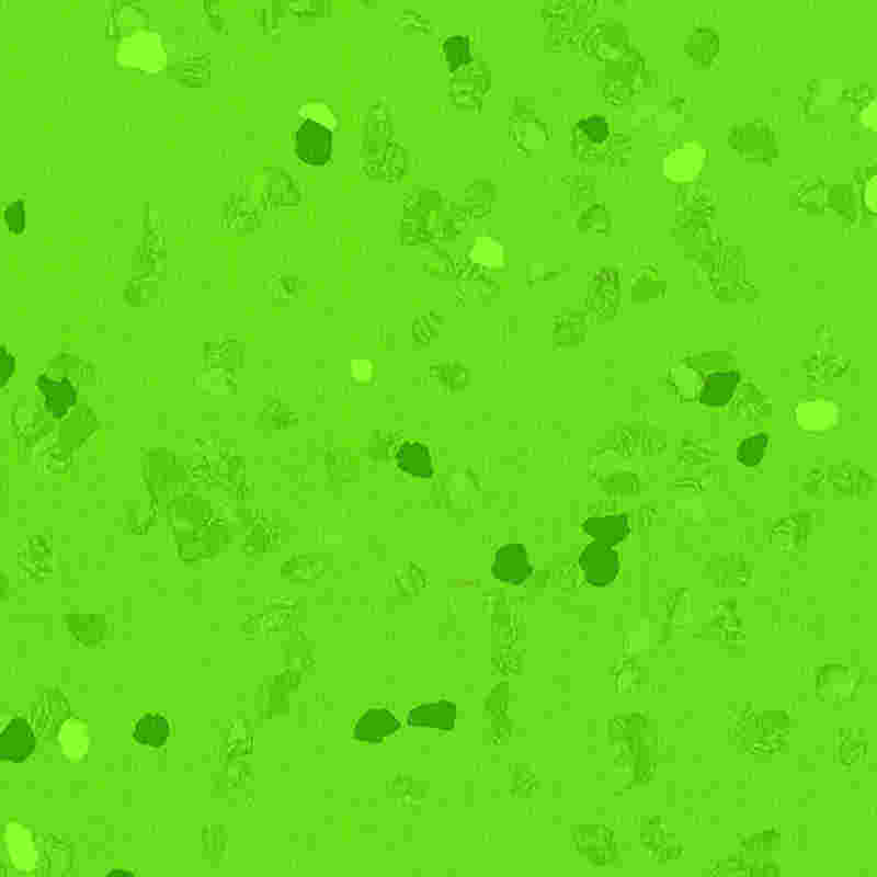 Gumová podlaha odolná proti poškrábání a vysoce elastická