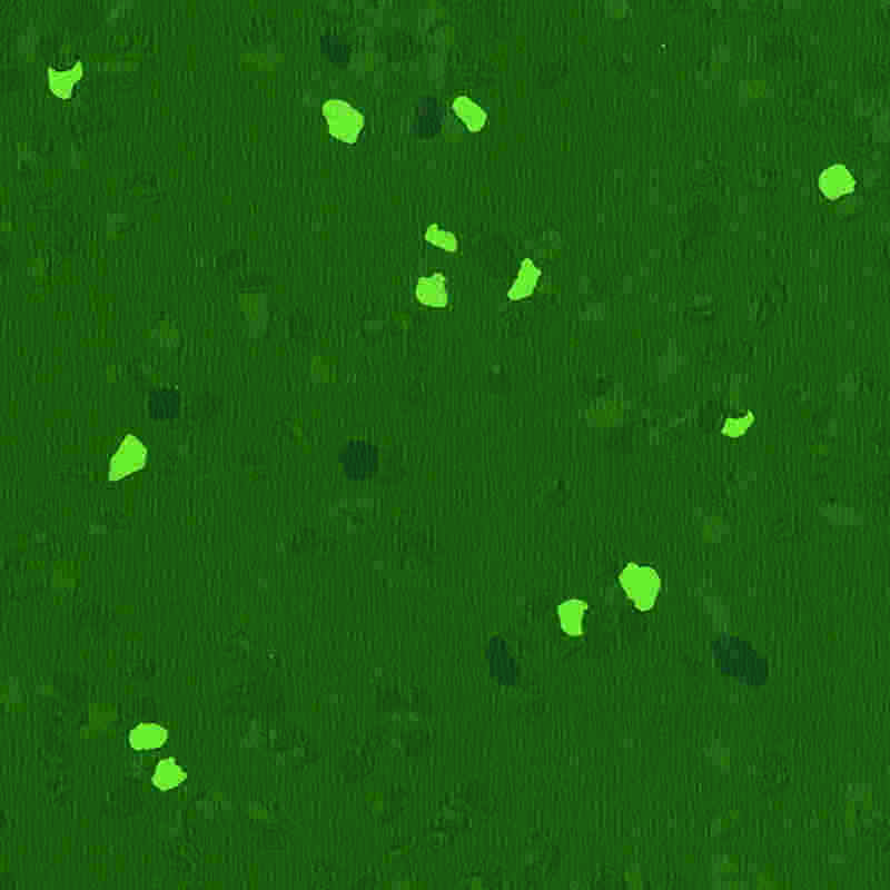 Gumová podlaha odolná proti poškrábání a vysoce elastická