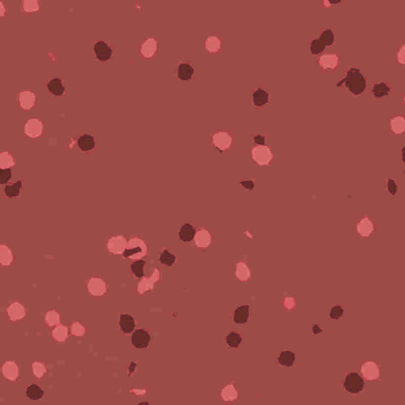 Nehořlavá a voděodolná pryžová a plastová podlaha