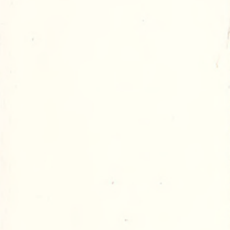 Vysoká přizpůsobivost a bezešvá pryžová podlaha