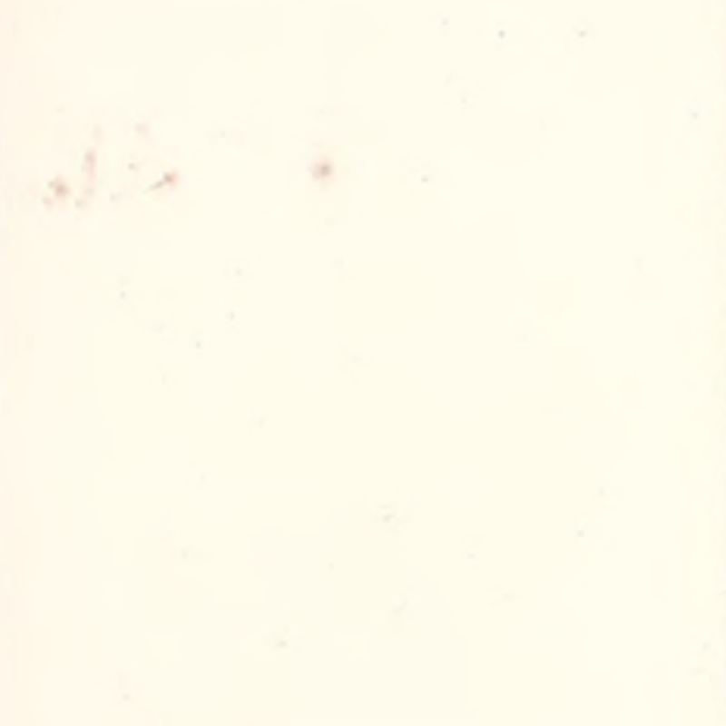 Vysoká přizpůsobivost a bezešvá pryžová podlaha