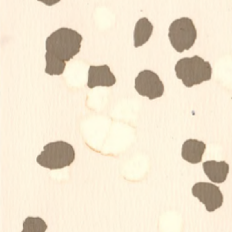 Protiskluzová pryžová podlaha odolná proti poškrábání