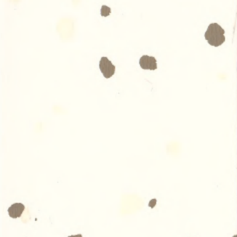 Ekologické pryžové podlahy