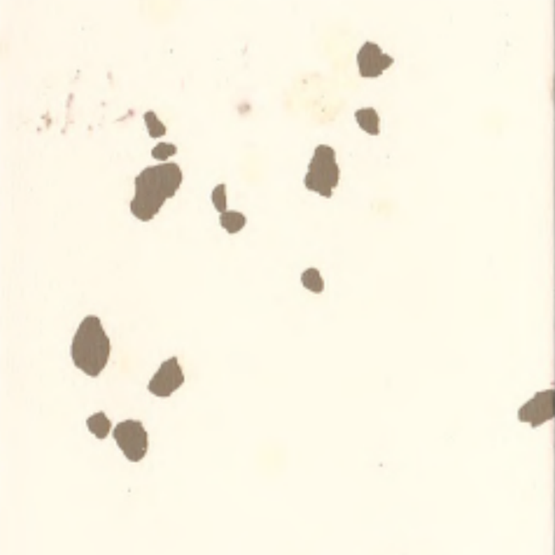 Ekologické pryžové podlahy